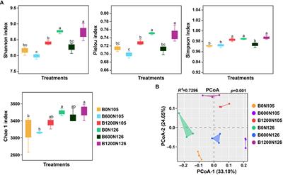 Elucidating the impact of biochar with different carbon/nitrogen ratios on soil biochemical properties and rhizosphere bacterial communities of flue-cured tobacco plants